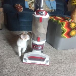 Shark vacuum